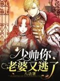 少帅你老婆又跑了小说