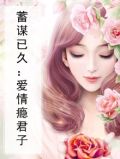 蓄谋已久的爱情歌词