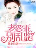老婆乖乖,别闹了免费阅读