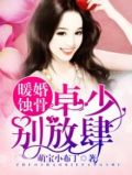 卓少宠入骨免费阅读