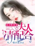 霍少你夫人携子逃跑