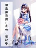 爆宠前妻老公不可以免费阅读全文