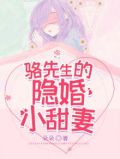 骆先生的隐婚小甜妻免费阅读