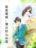 甜蜜暖婚:傅总的心头宠全文阅读