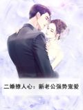 二婚老公狠贴心全文免费阅读