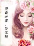 拒婚老婆,爱你哦小说
