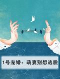 一号萌妻冷少娇宠上瘾