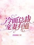 冷面总裁宠妻宠上天