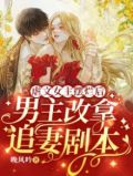 有没有前期男主虐女主后面女主虐男主的文