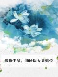 傲王爷神医妃要休夫