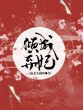 倾城弃妃流苏