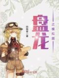 盘龙之模拟器 小说