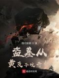 从盗墓开始的小说