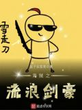 海贼之剑豪 小说