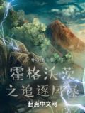 霍格沃茨之追逐风暴 小说