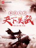 不良人之天下莫敌小说