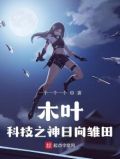 木叶科技之神日向雏田的男主是谁