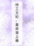 特工王妃:皇叔宠上瘾小说