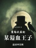 霍格沃兹的某混血王子小说在线阅读