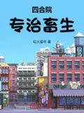 小说《四合院》