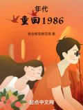 年代:重回1986小说