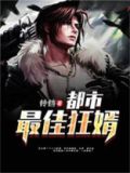 都市最狂女婿
