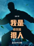 我的修改器 小说