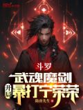 武魂是剑的斗罗小说
