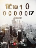 花掉1000000亿 小说