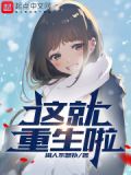 这是重生吗 小说