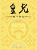 皇兄何不禅位小说