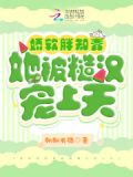 糙汉宠知青小说