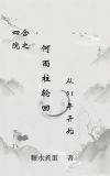 傻柱重生在母亲刚死后1948年