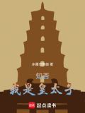 知否:我是皇太子免费阅读