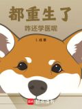 重生2010,我成了国医大师的小说