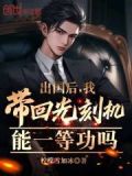出国后,我带回光刻机能一等功吗笔
