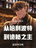 从哈利波特开始的诡秘之旅 小说