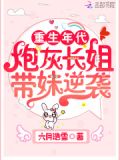 不负韶光且峥嵘小说在线阅读