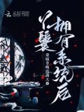 丫鬟有异能的小说