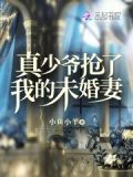 真少爷抢了我的未婚妻