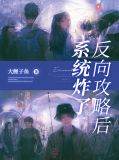 反向攻略后,系统炸了