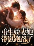 重生娇妻有人宠书