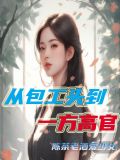 从包工头到一方高官小说