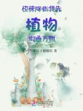 惊悚降临：我靠植物沟通万物