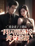 重金求子上错床,我闪婚高冷美女总裁小说