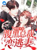 婚情不负:腹黑总裁恋逃妻