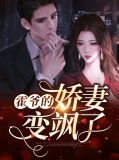 小说,霍爷