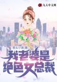 我的老婆是女总裁 小说