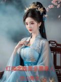 红楼之姓贾非贾家小说