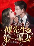 冷情虐爱:傅先生的第一罪妻